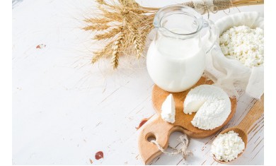 Обзор пищевых добавок для творожных масс NutriMilk
